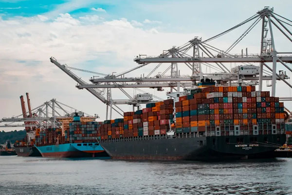 Galeri Star Do Cargo (10)