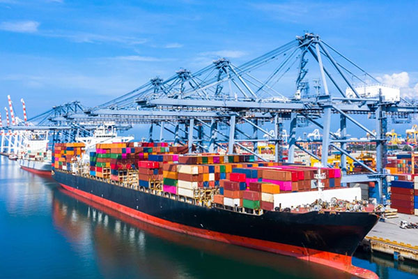 Galeri Star Do Cargo (3)