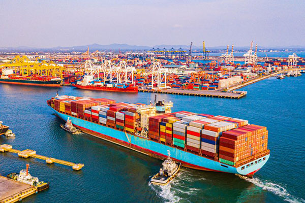 Layanan Star Do Cargo (2)